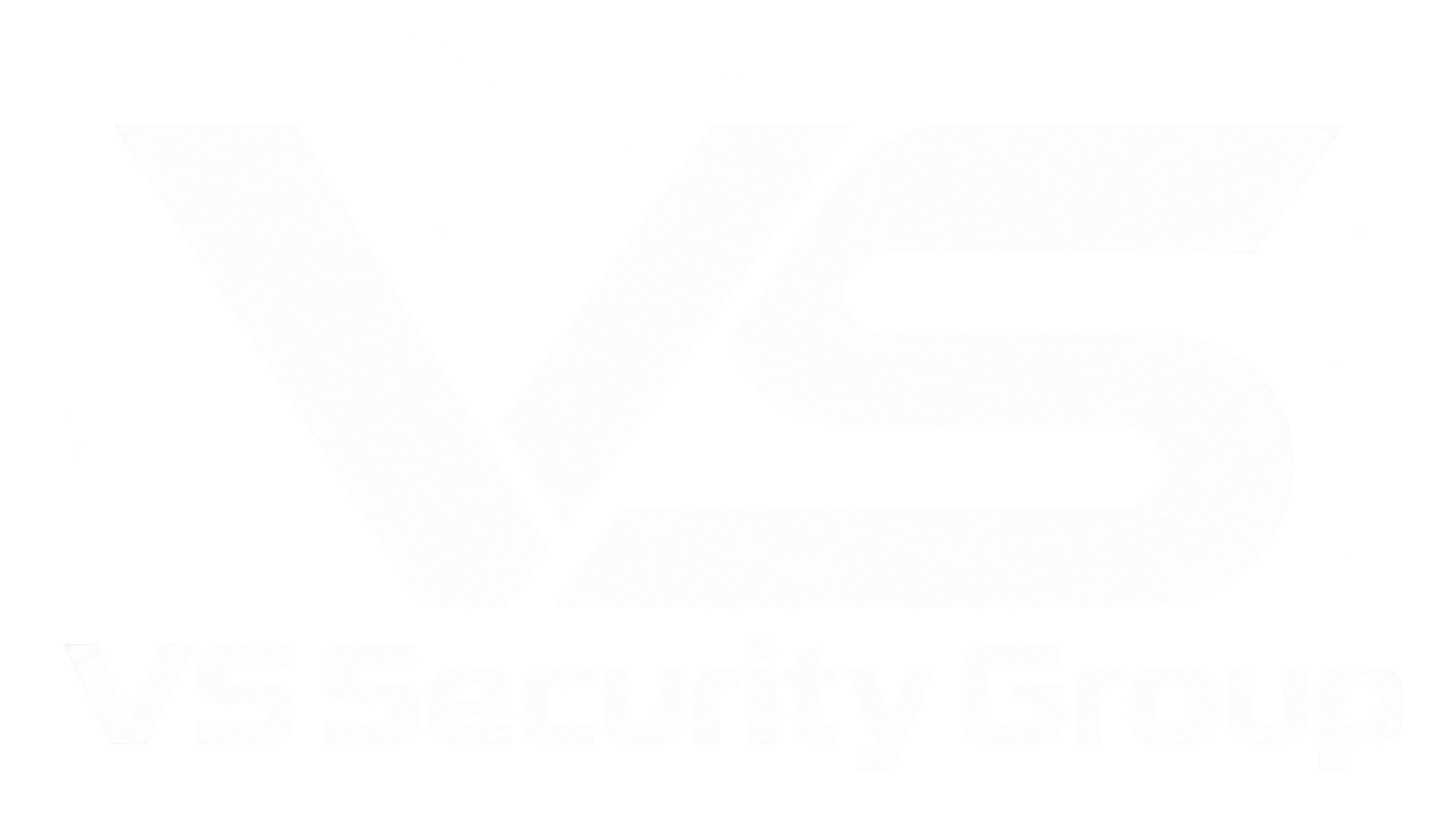 VS Security Group logo